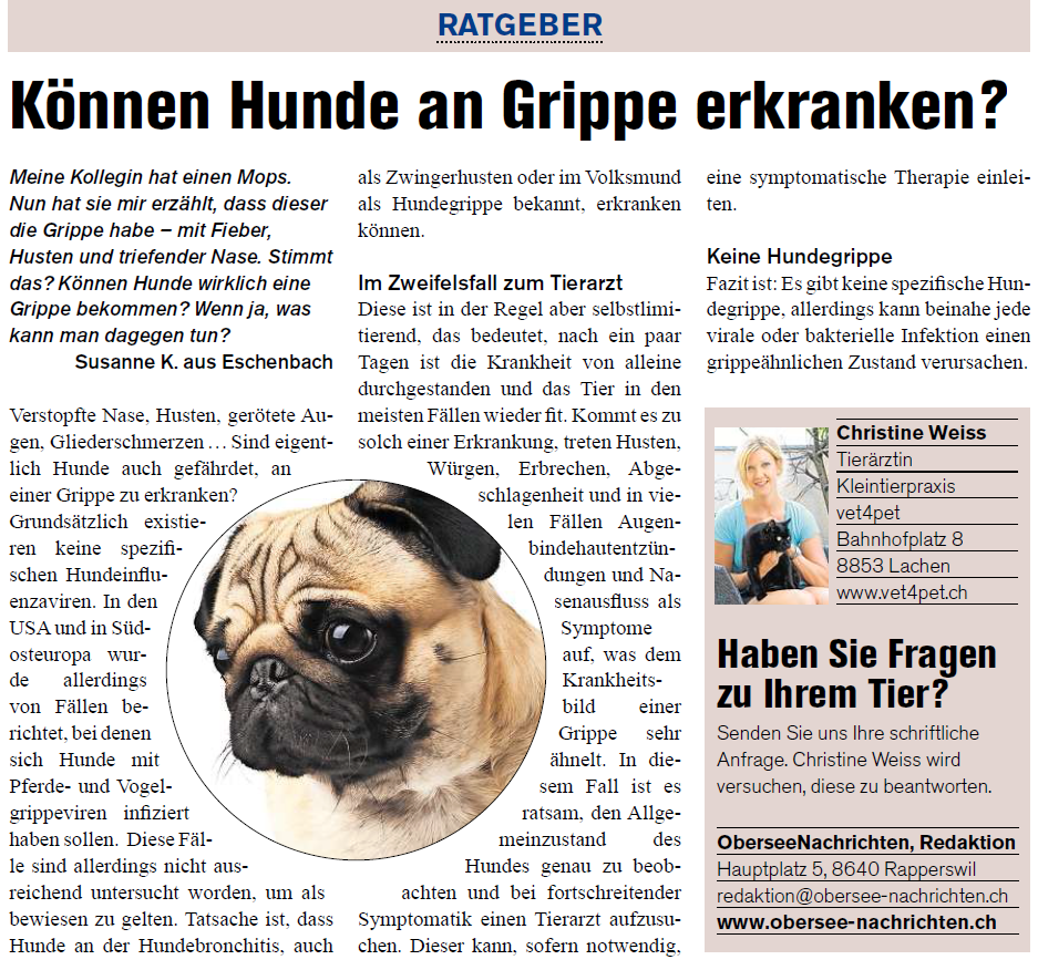 hundgrippe